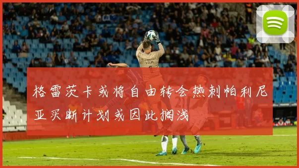 格雷茨卡或将自由转会热刺帕利尼亚买断计划或因此搁浅