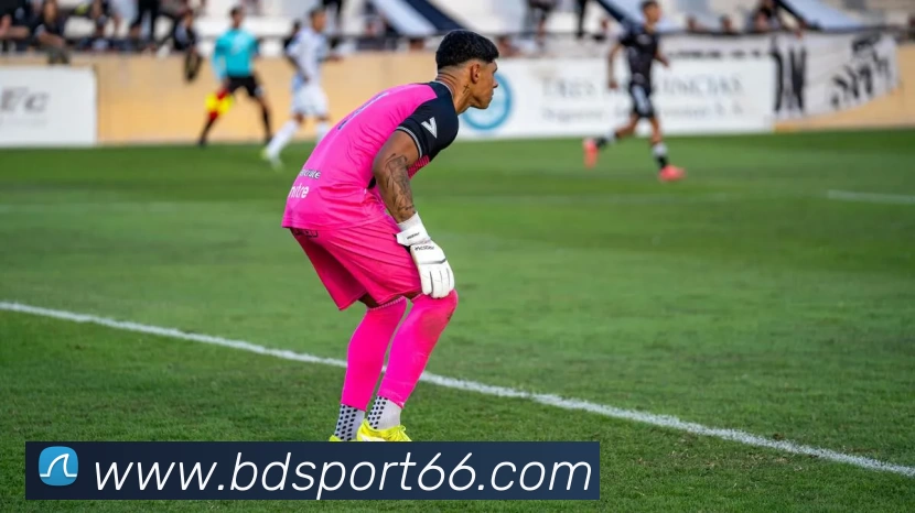 半岛体育平台生态图